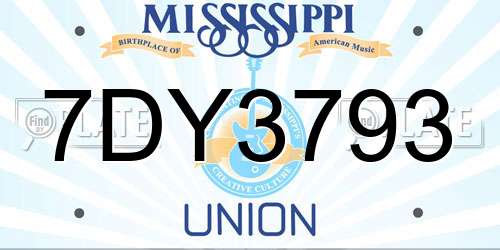 7DY3793 Mississippi License Plate