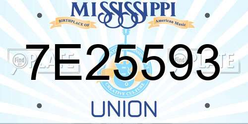 7E25593 Mississippi License Plate