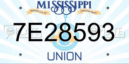 7E28593 Mississippi License Plate
