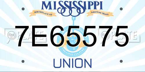 7E65575 Mississippi License Plate