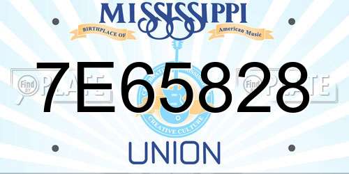 7E65828 Mississippi License Plate