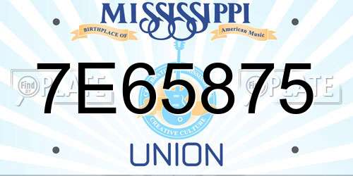 7E65875 Mississippi License Plate