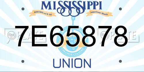 7E65878 Mississippi License Plate
