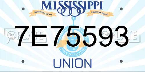 7E75593 Mississippi License Plate