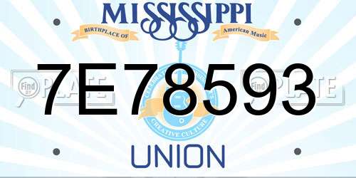 7E78593 Mississippi License Plate