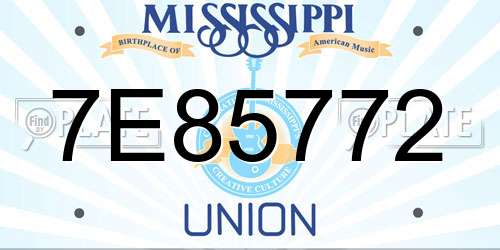 7E85772 Mississippi License Plate
