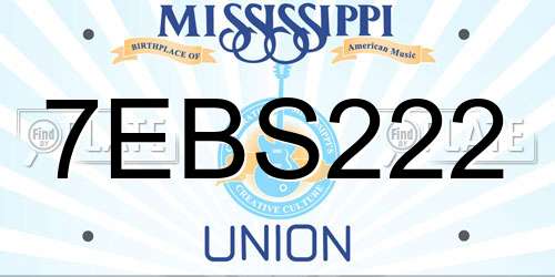 7EBS222 Mississippi License Plate
