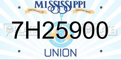 7H25900 Mississippi License Plate