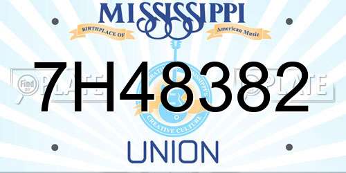 7H48382 Mississippi License Plate