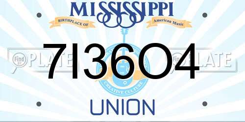 7I36O4 Mississippi License Plate