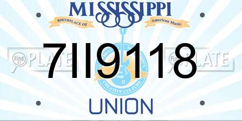 7II9118 Mississippi License Plate