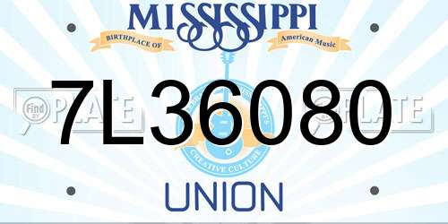 7L36080 Mississippi License Plate