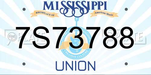7S73788 Mississippi License Plate