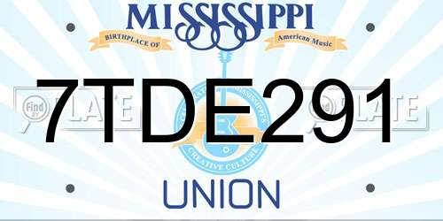 7TDE291 Mississippi License Plate