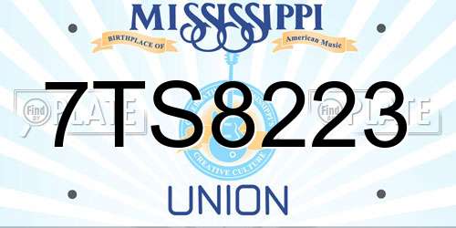 7TS8223 Mississippi License Plate