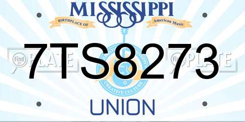 7TS8273 Mississippi License Plate