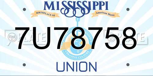 7U78758 Mississippi License Plate