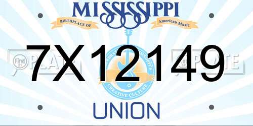 7X12149 Mississippi License Plate