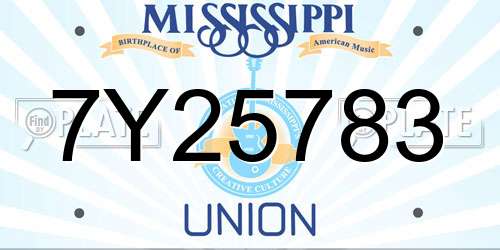 7Y25783 Mississippi License Plate