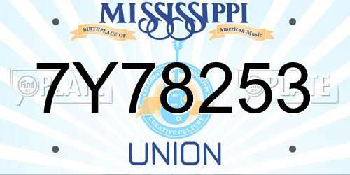 7Y78253 Mississippi License Plate