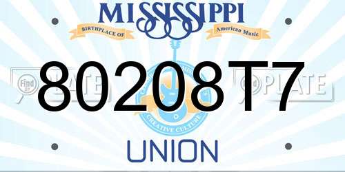 80208T7 Mississippi License Plate