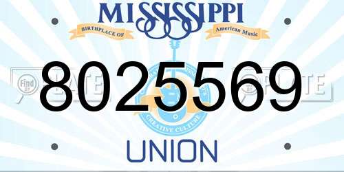 8025569 Mississippi License Plate