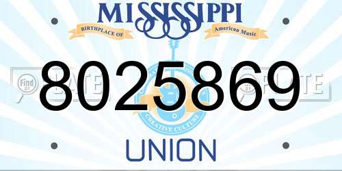 8025869 Mississippi License Plate