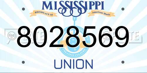 8028569 Mississippi License Plate
