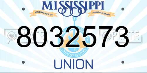 8032573 Mississippi License Plate