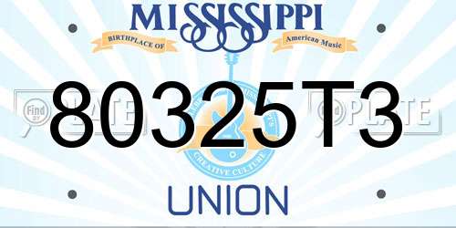 80325T3 Mississippi License Plate