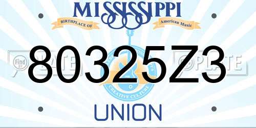 80325Z3 Mississippi License Plate