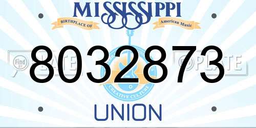 8032873 Mississippi License Plate