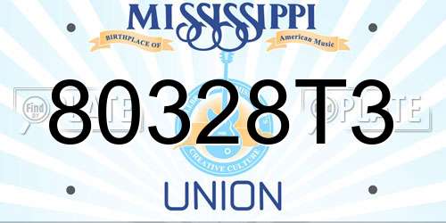 80328T3 Mississippi License Plate