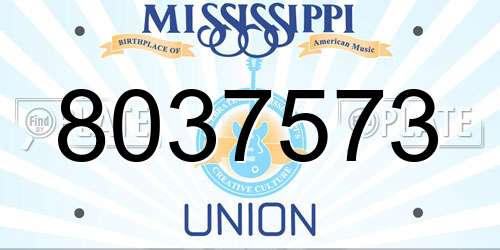 8037573 Mississippi License Plate
