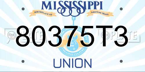 80375T3 Mississippi License Plate
