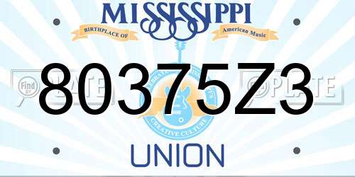 80375Z3 Mississippi License Plate