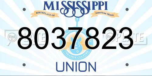 8037823 Mississippi License Plate