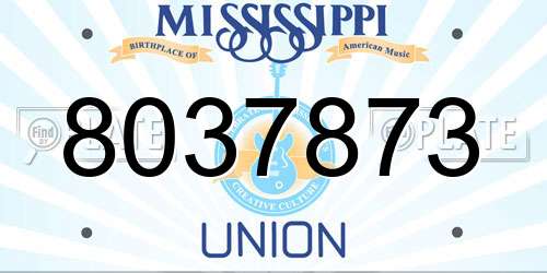 8037873 Mississippi License Plate