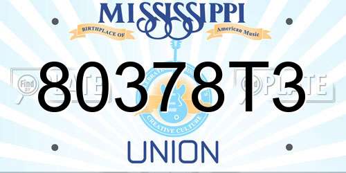 80378T3 Mississippi License Plate