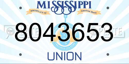 8043653 Mississippi License Plate