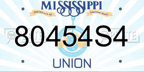 80454S4 Mississippi License Plate