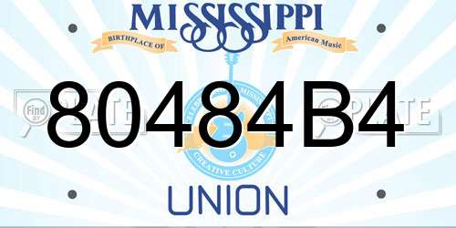 80484B4 Mississippi License Plate
