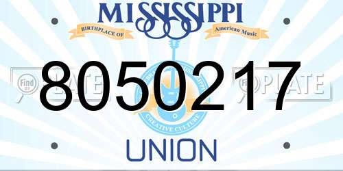 8050217 Mississippi License Plate