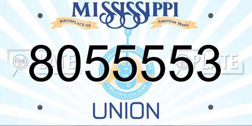 8055553 Mississippi License Plate