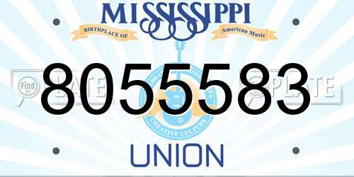 8055583 Mississippi License Plate
