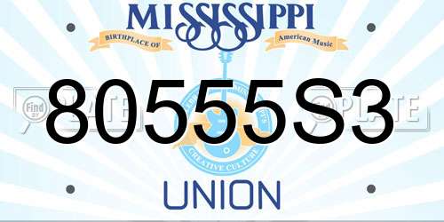 80555S3 Mississippi License Plate