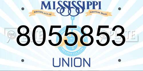 8055853 Mississippi License Plate