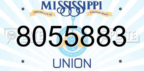 8055883 Mississippi License Plate