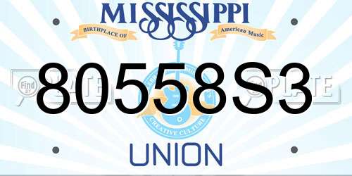 80558S3 Mississippi License Plate