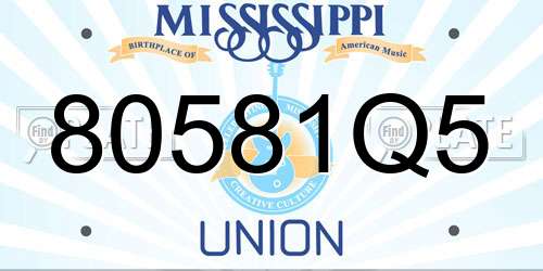 80581Q5 Mississippi License Plate